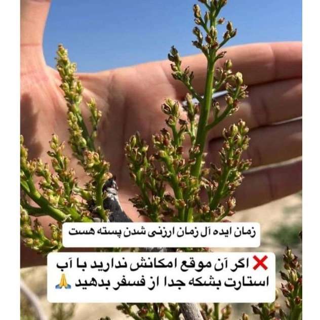نمایندگی فروش کودهای ارگانیک در کرمان