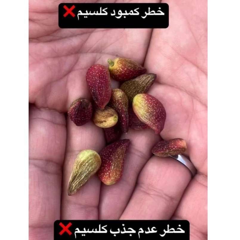 نمایندگی فروش کودهای ارگانیک در کرمان