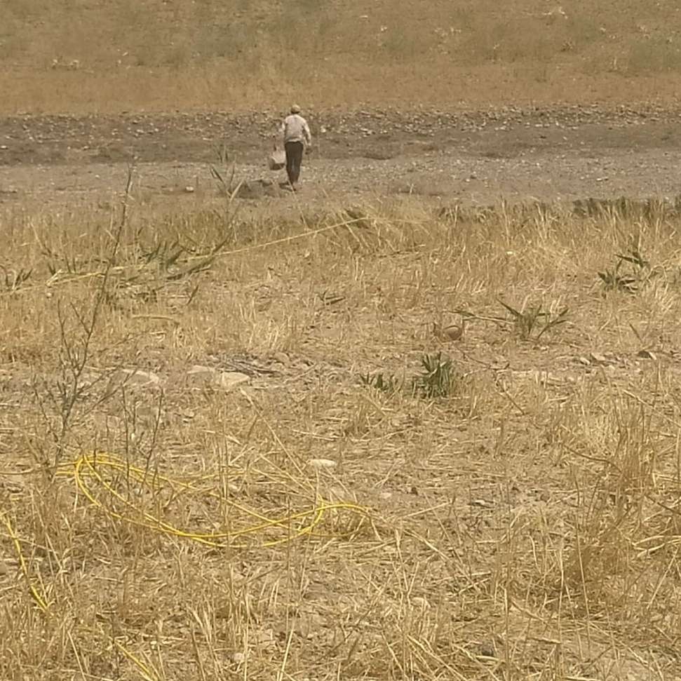 میانه