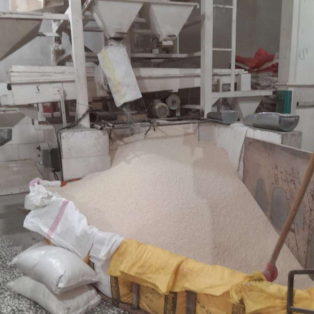 سورتینگ برنج علوی
