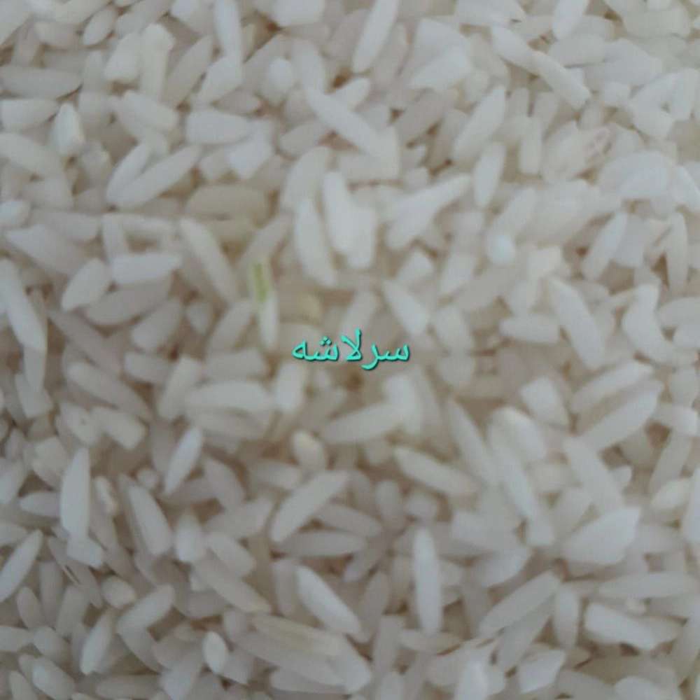 برنج سرلاشه