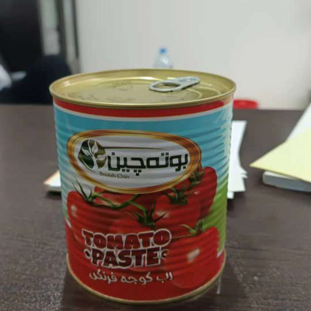 کارخانه رب گوجه فرنگی بوته چین