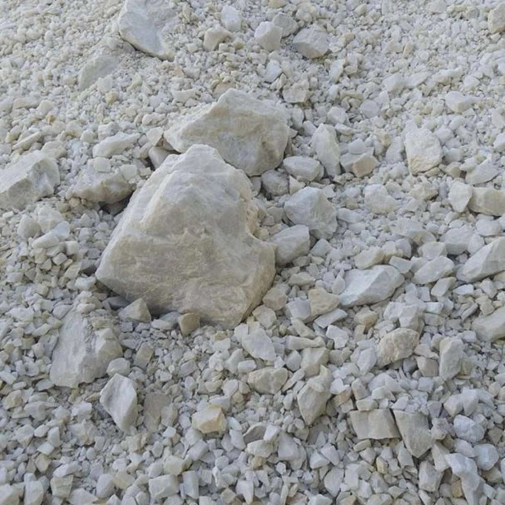 شرکت نام آوران
