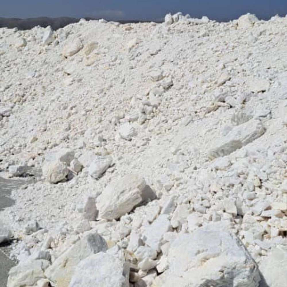 شرکت نام آوران