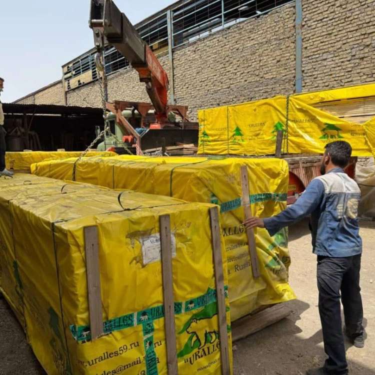 فروش چوب ایرانی و روسی