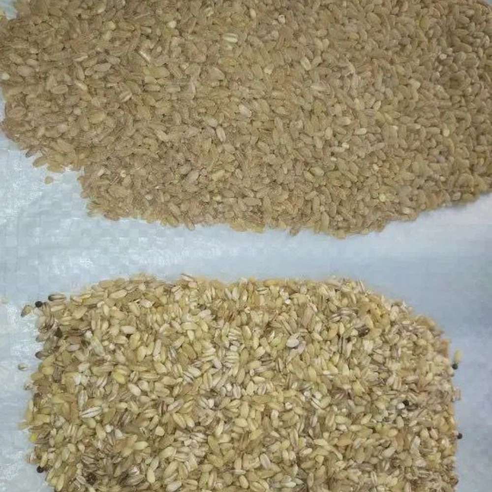 انبار پخش پایدار