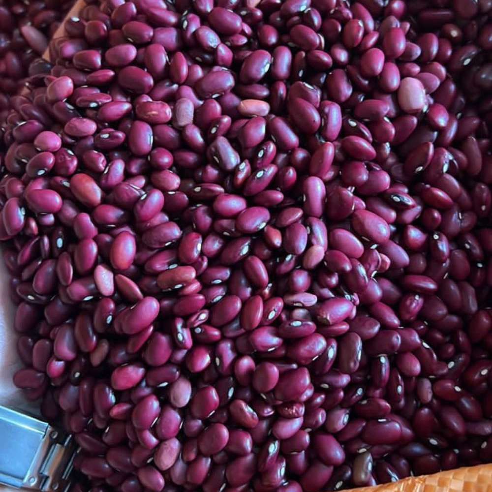 انبار پخش پایدار