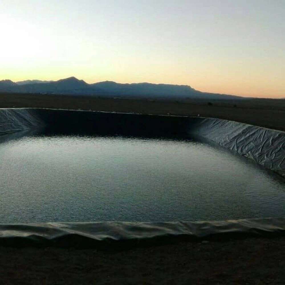 سبزینه ساز گلستان
