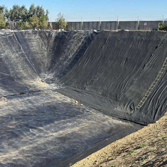 سبزینه ساز گلستان