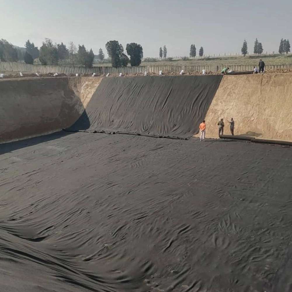سبزینه ساز گلستان
