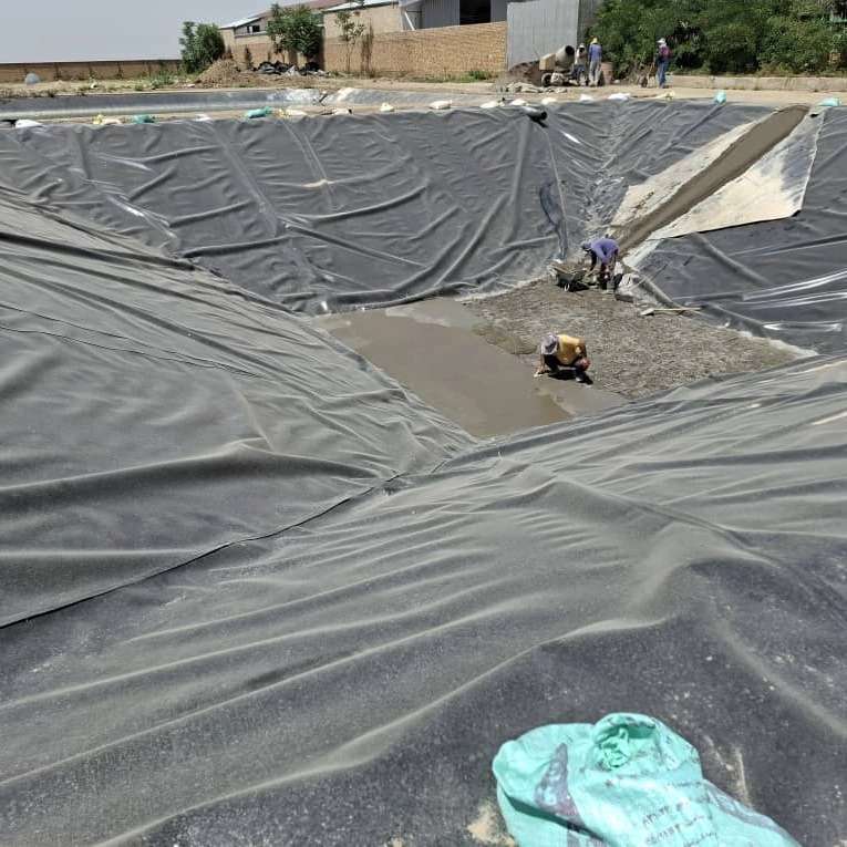 سبزینه ساز گلستان