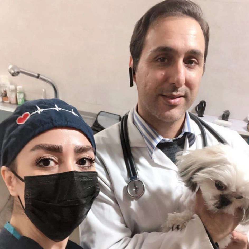کلینیک دامپزشکی راد در تهران