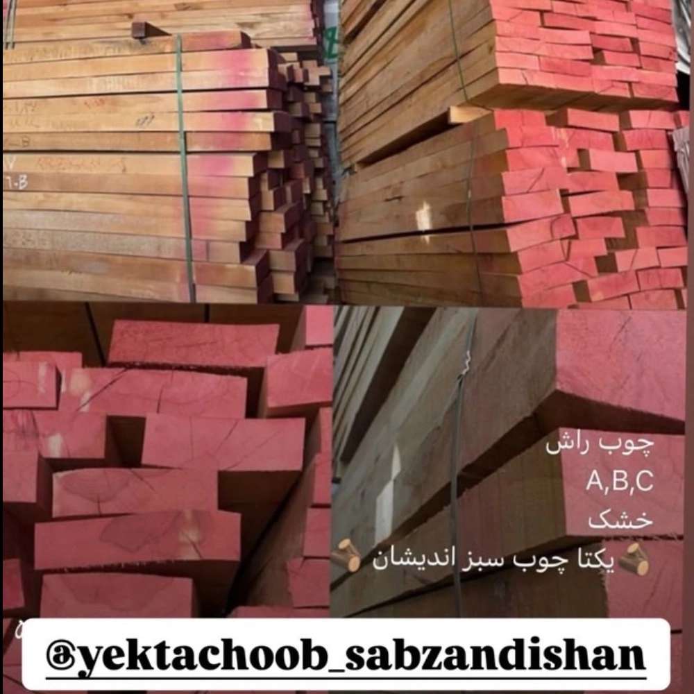 چوب راش
