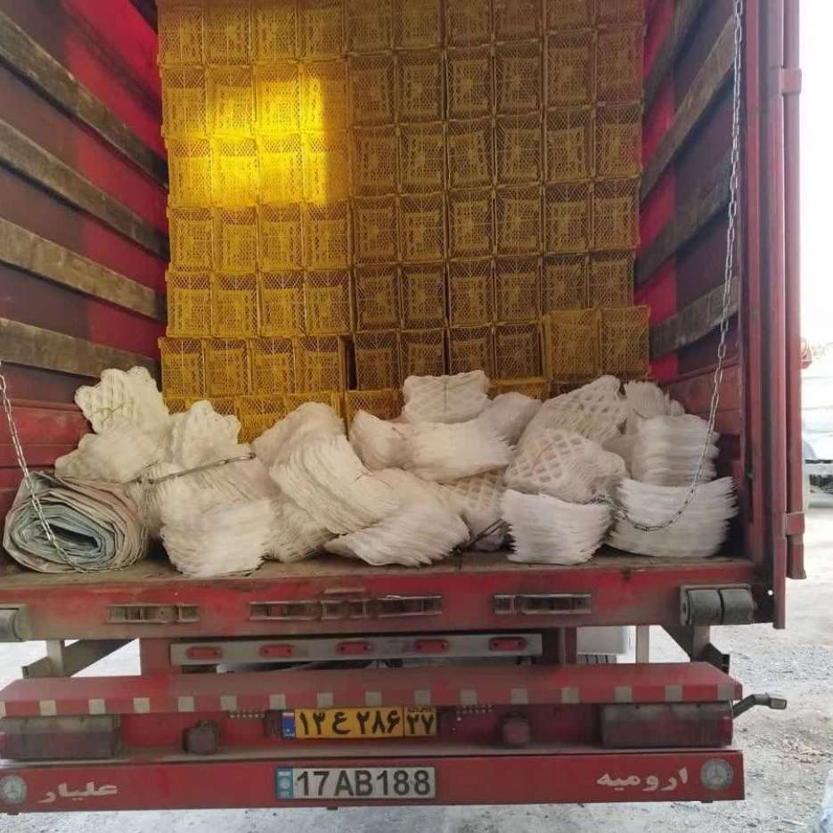 سبد پلاستیکی حمل میوه تبریز