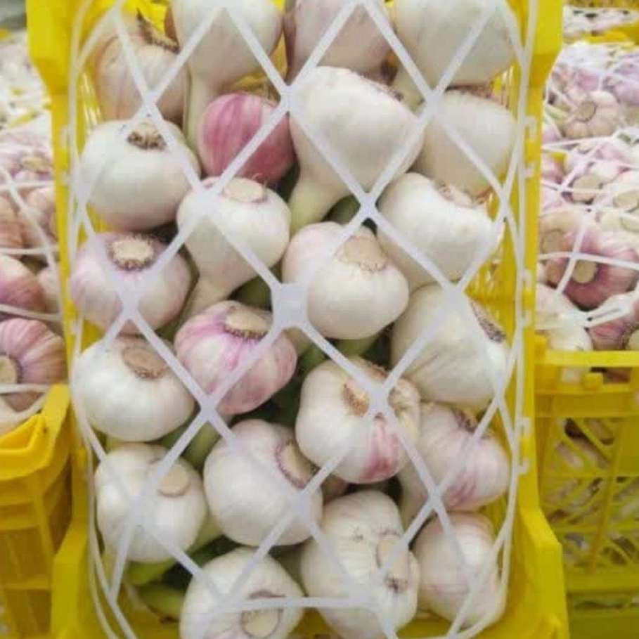فروش سبد میوه پلاستیکی تبریز