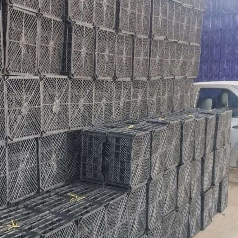خرید سبد میوه ارزان‌قیمت تبریز