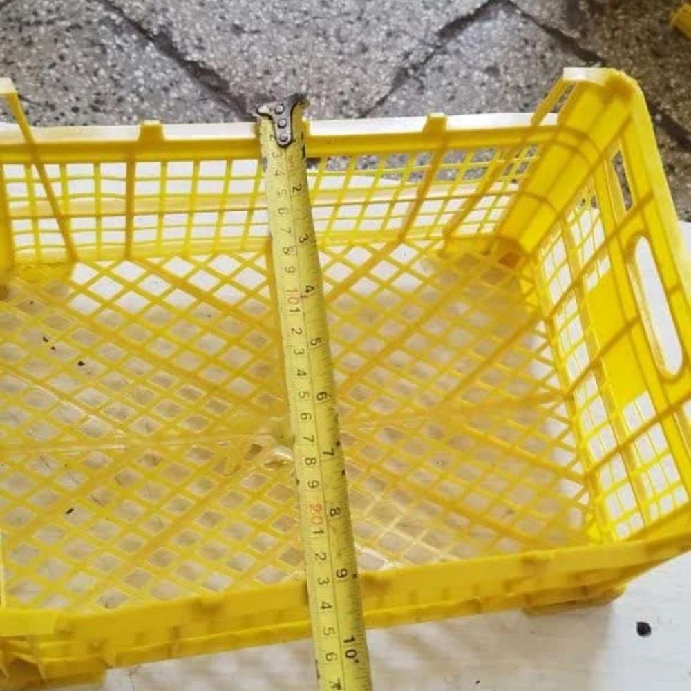 کارخانه سبد میوه رجب زاده