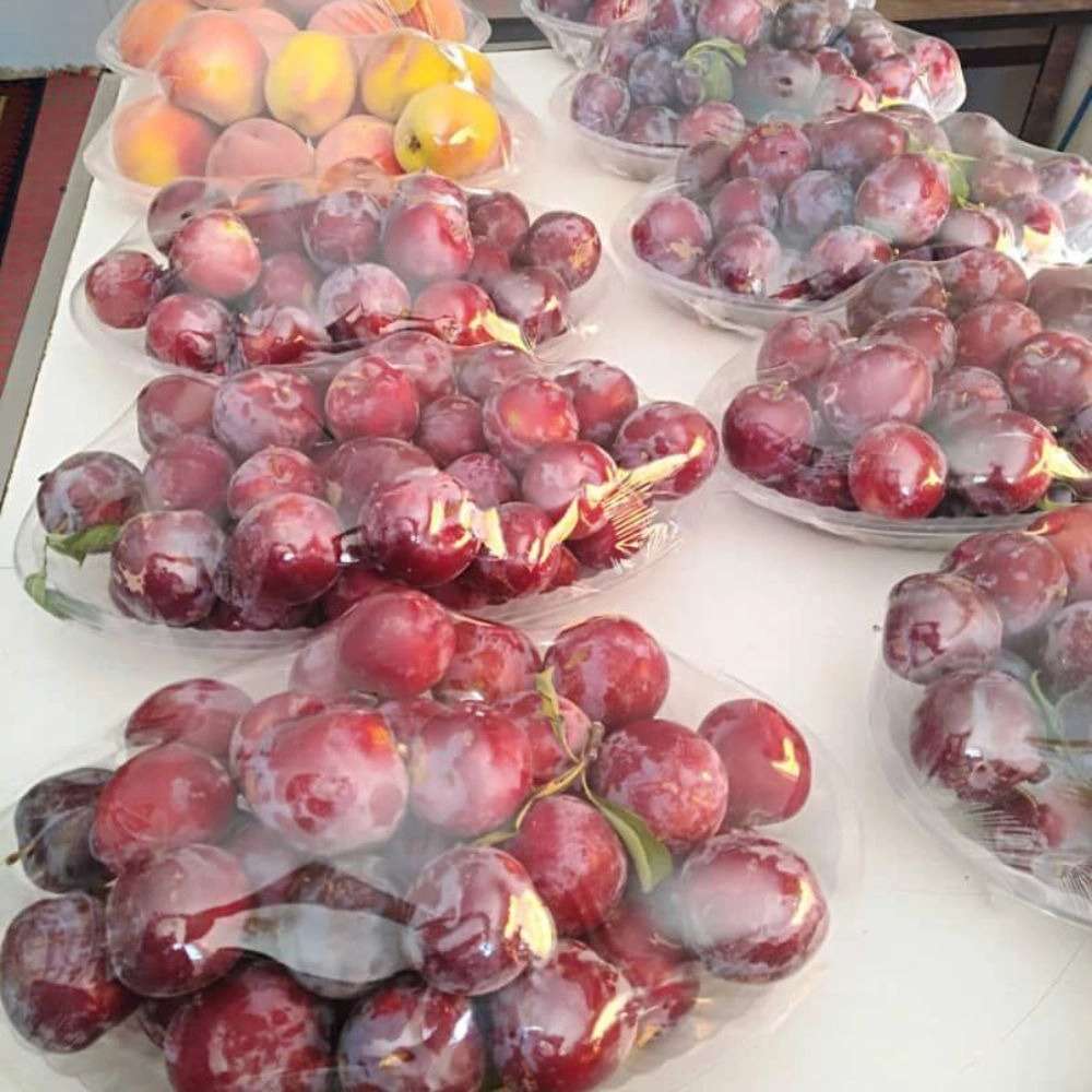 سفره‌خانه
