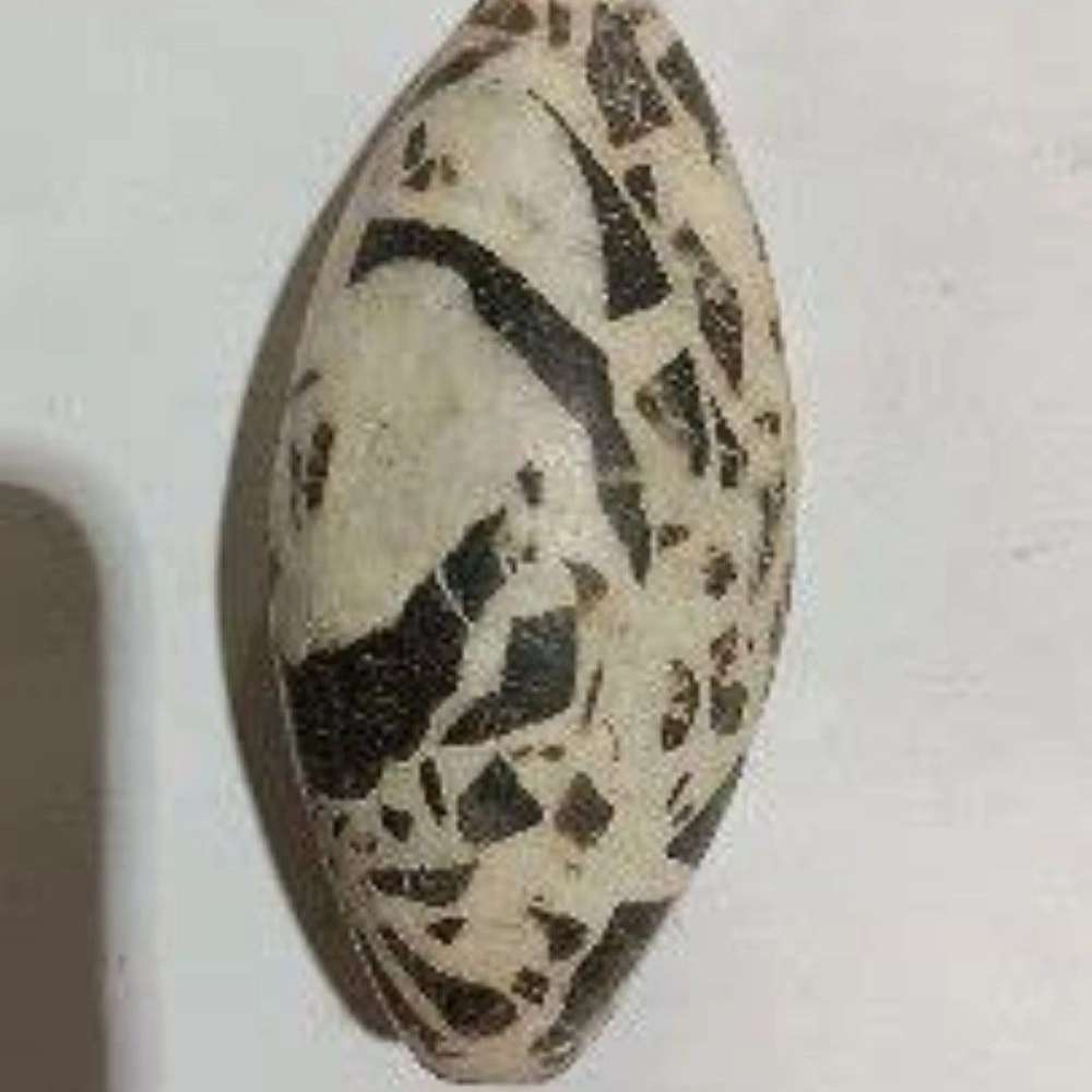گوهرشناسی