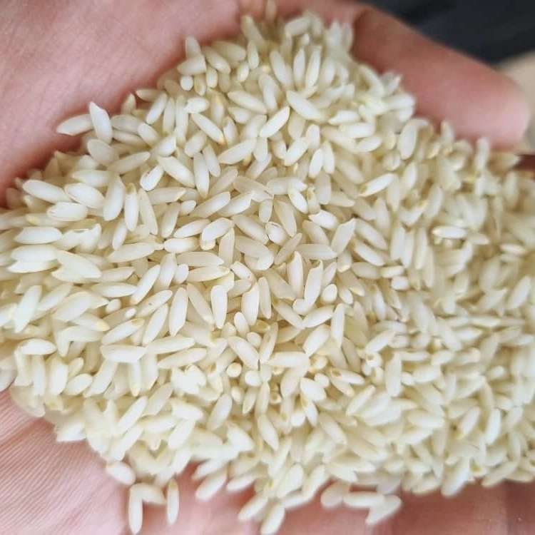 چرا برنجکوبی صنعتی ابریشم دانه سران انتخاب برتر بازار برنج اصفهان است؟