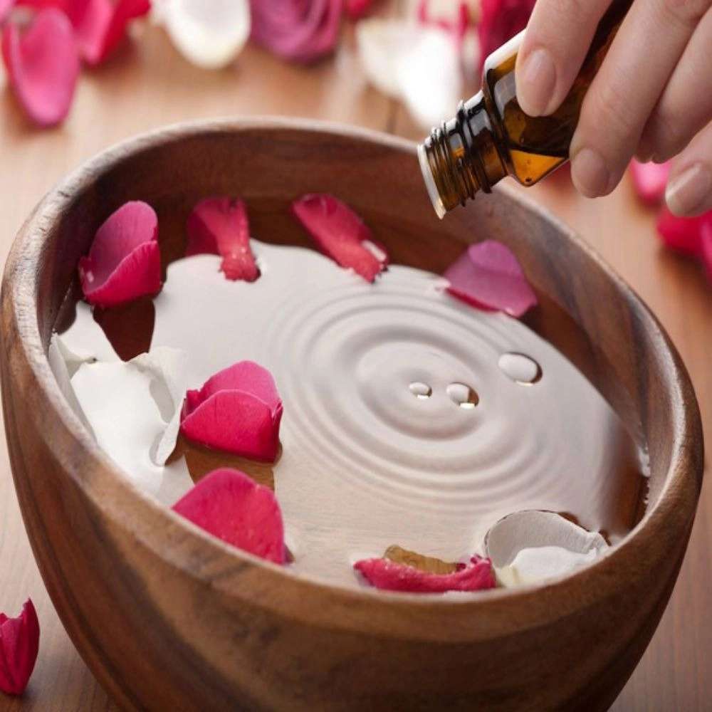 فروش عمده غنچه گل محمدی