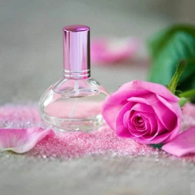 صادرات غنچه گل محمدی