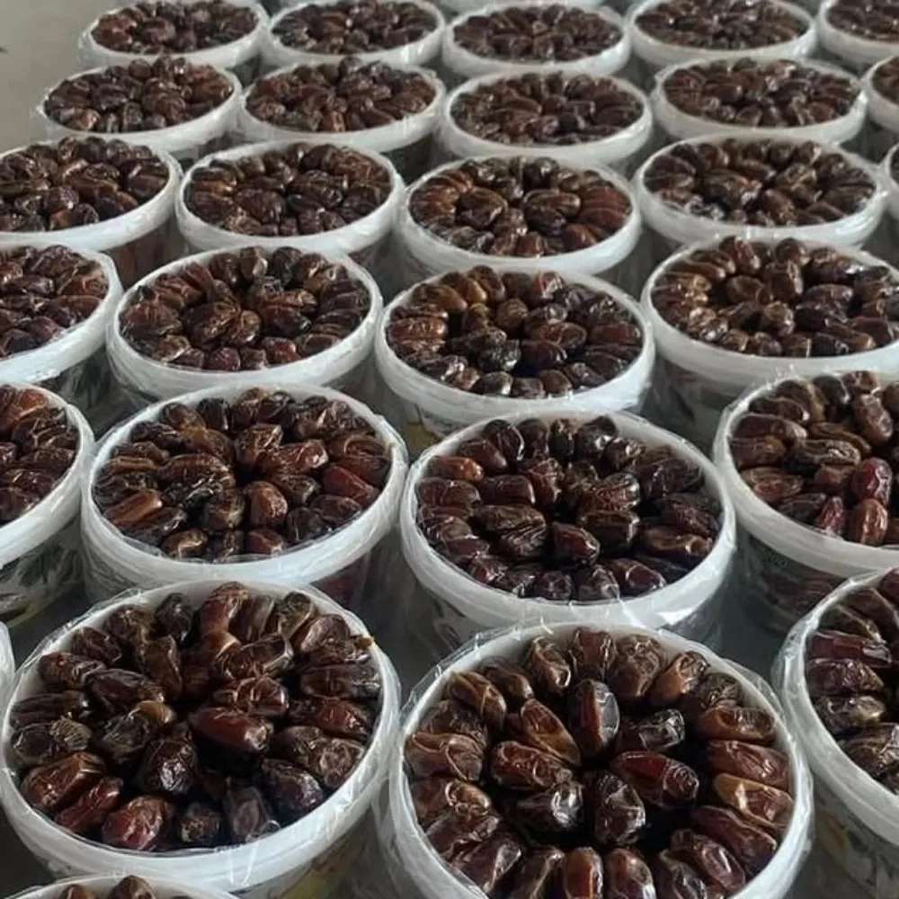 پخش عمده خرما کبکاب