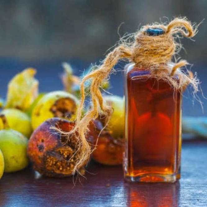 خرید و قیمت شیره انجیر اصل با امکان فروش عمده