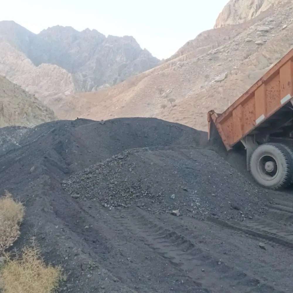 هیومیک اسید
