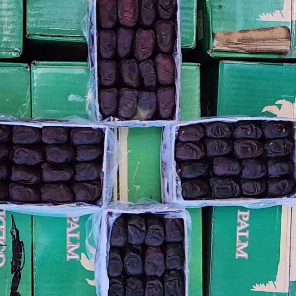 فروش عمده خرمای بم در مشهد
