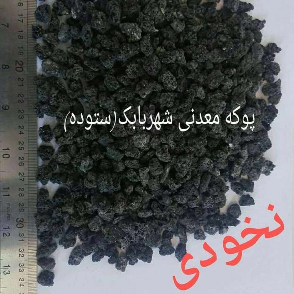 پوکه عدسی نخودی