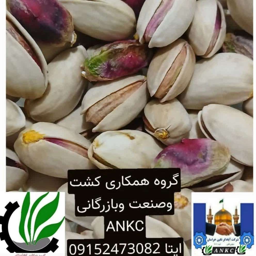 آبادگر نگین خراسان ankc