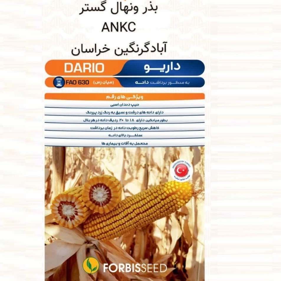 آبادگر نگین خراسان ankc