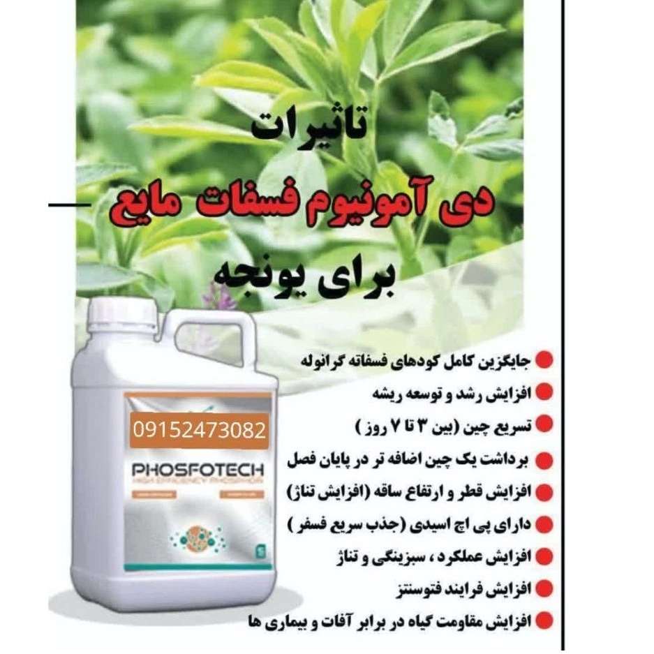 آبادگر نگین خراسان ankc