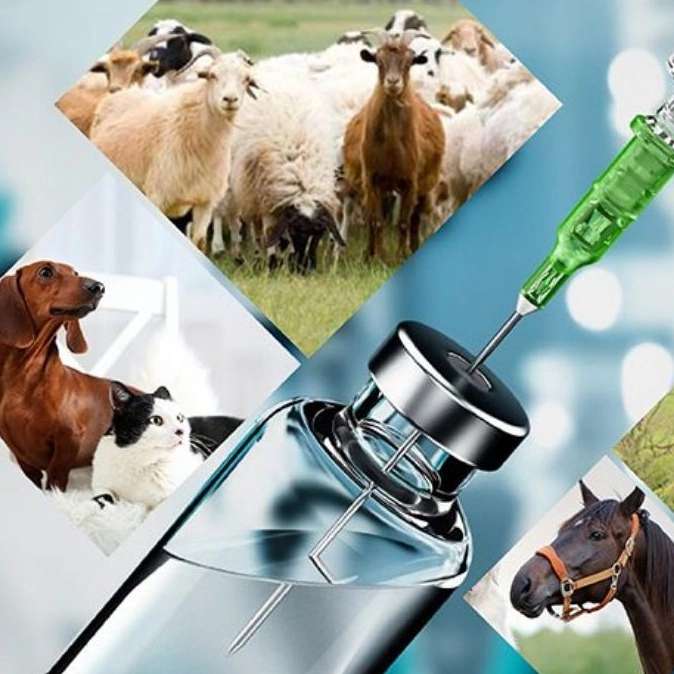دقیق‌ترین آزمایشگاه دامپزشکی استان البرز