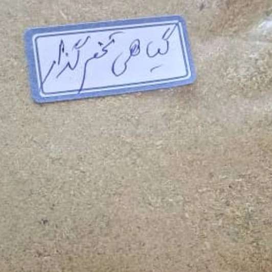 تولید پودر گیاهی ارگانیک
