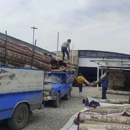 قالیشویی گلبهار