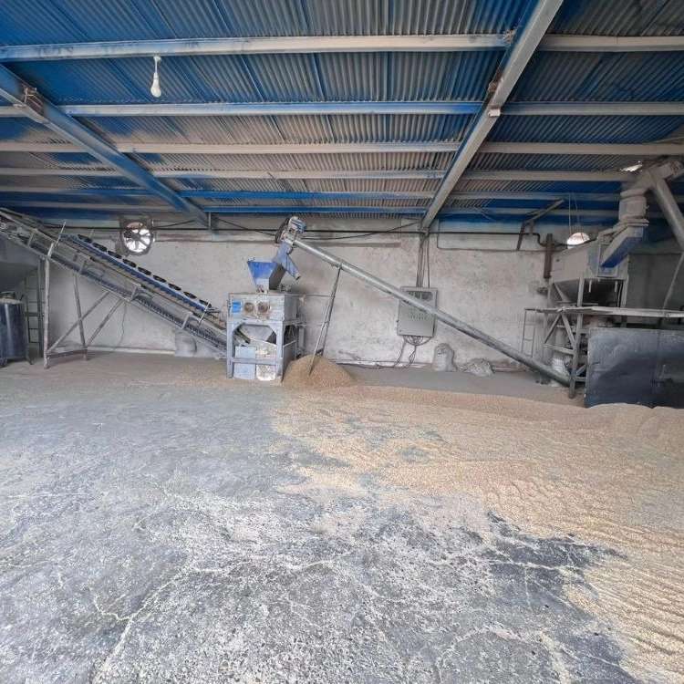 فروش خوراک دام عشایری با ارسال سریع به سراسر سمنان