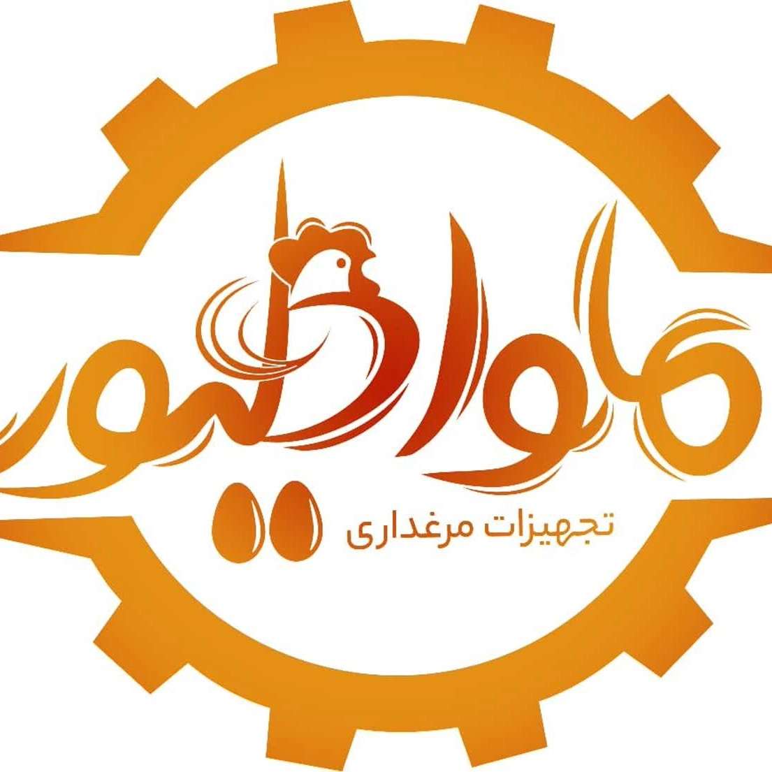 شرکت ماوا طیور در قزوین