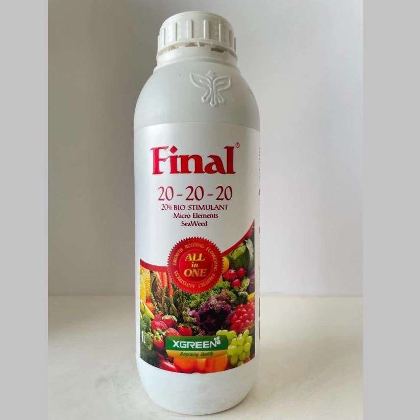 توزیع بذر اصلاح‌شده