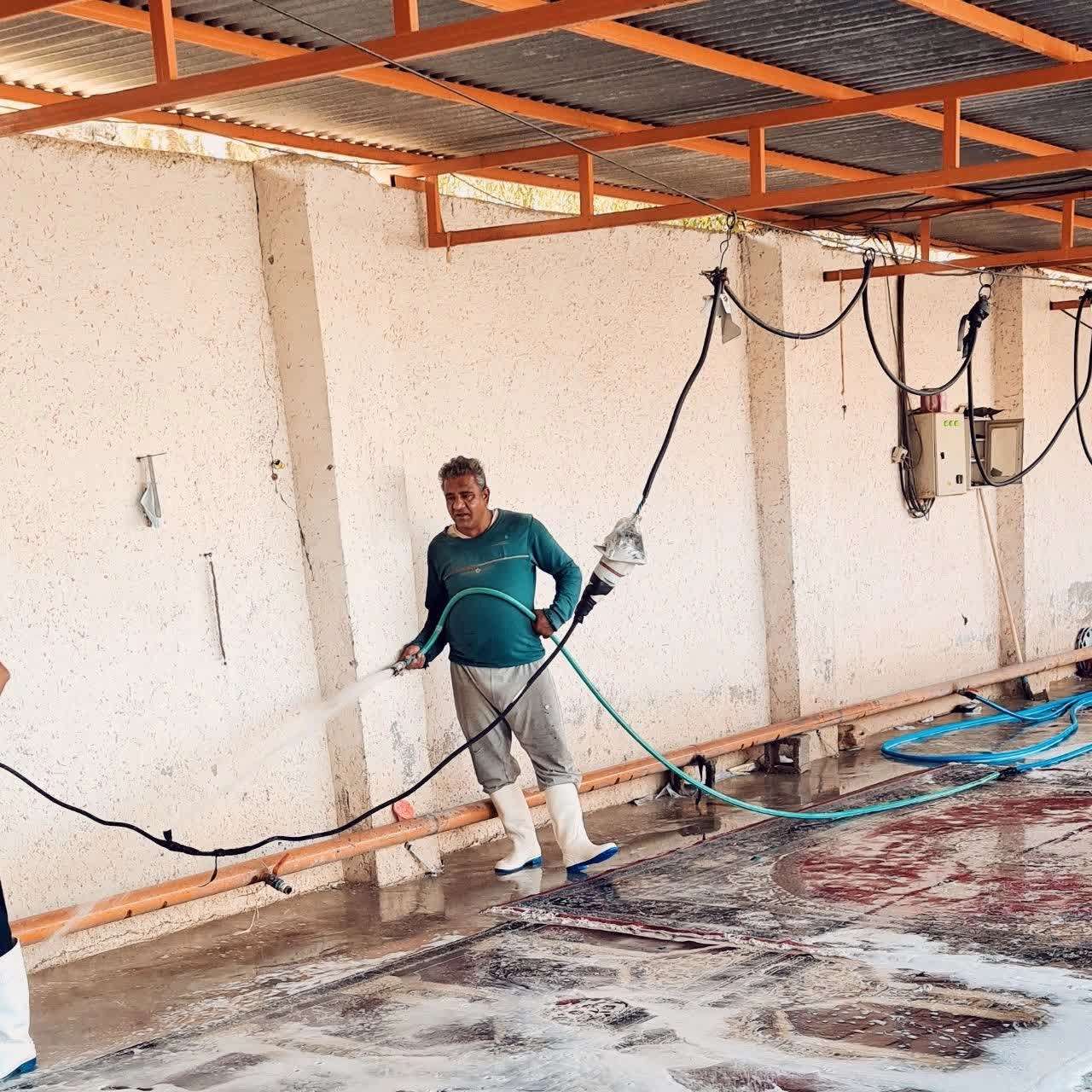 قالیشویی پاتریس
