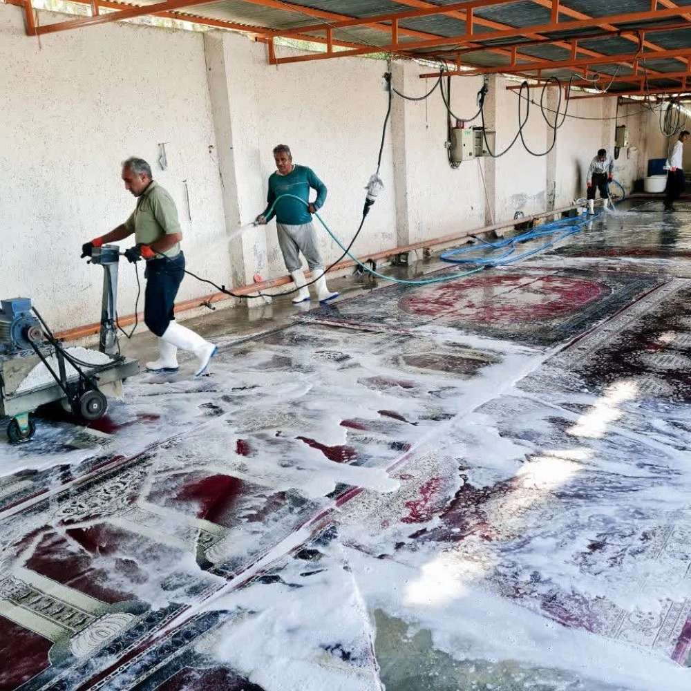 قالیشویی پاتریس