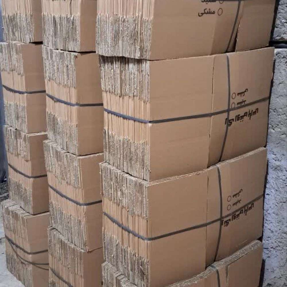 کارتن سازی ایرانیان