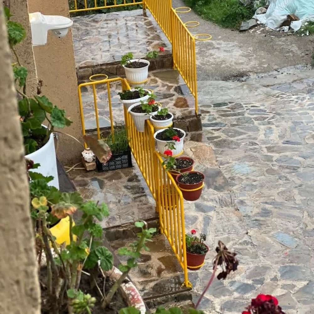 اقامتگاه خانه بر ماسوله