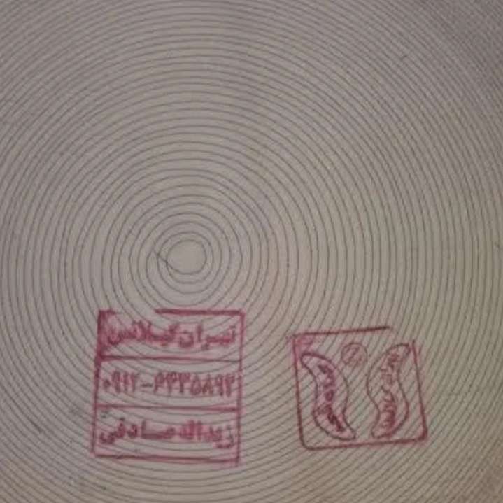 گیلانس صادقی