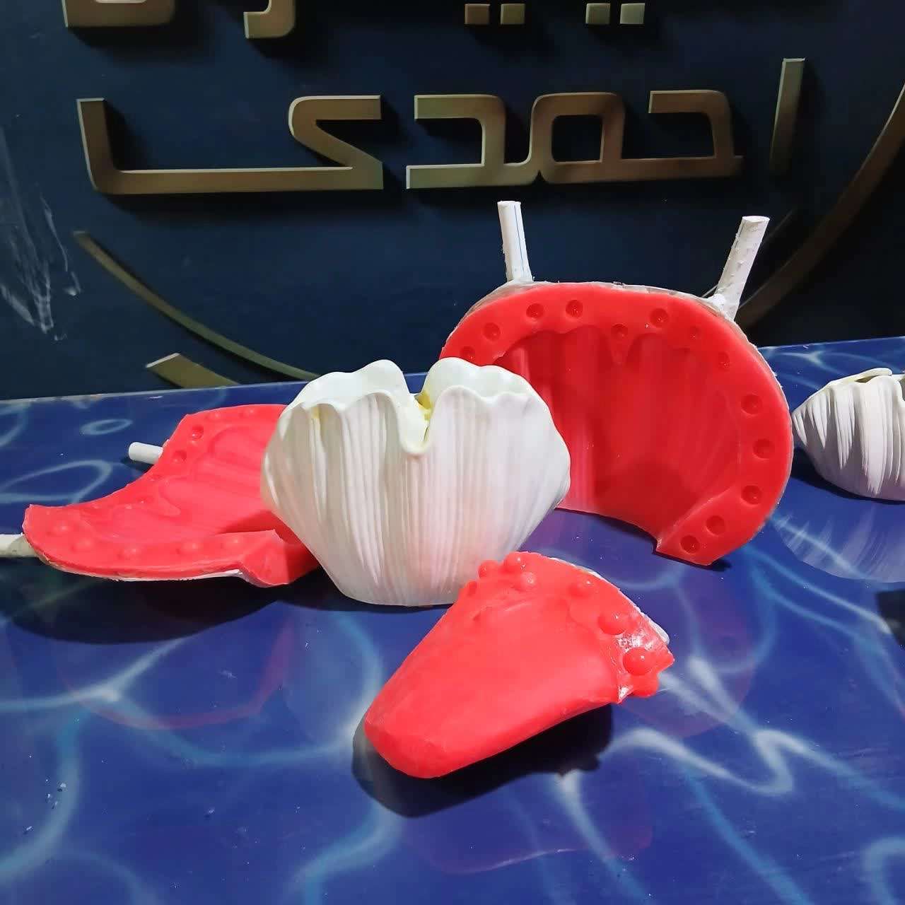 قالبسازی سیلیکونی