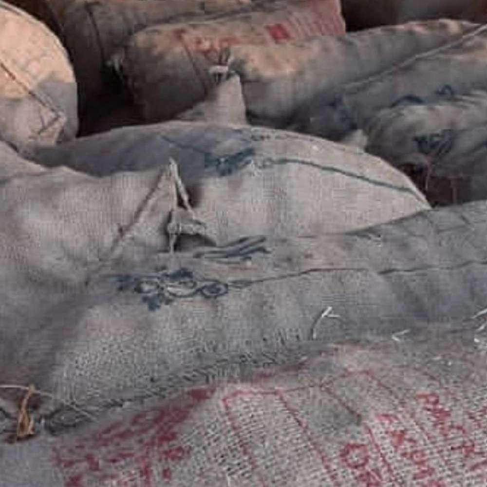 سیر بسته‌بندی شده صادراتی