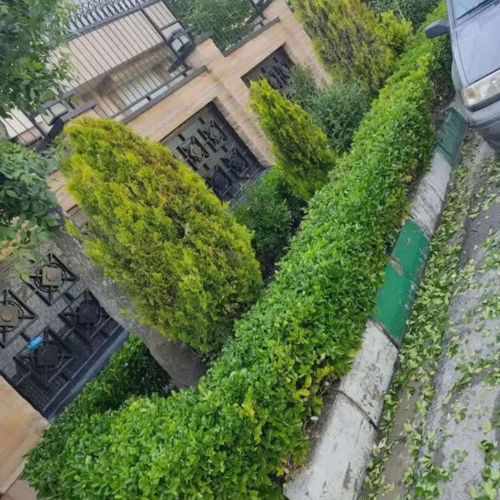 خدمات گلکاری و باغبانی در کرج