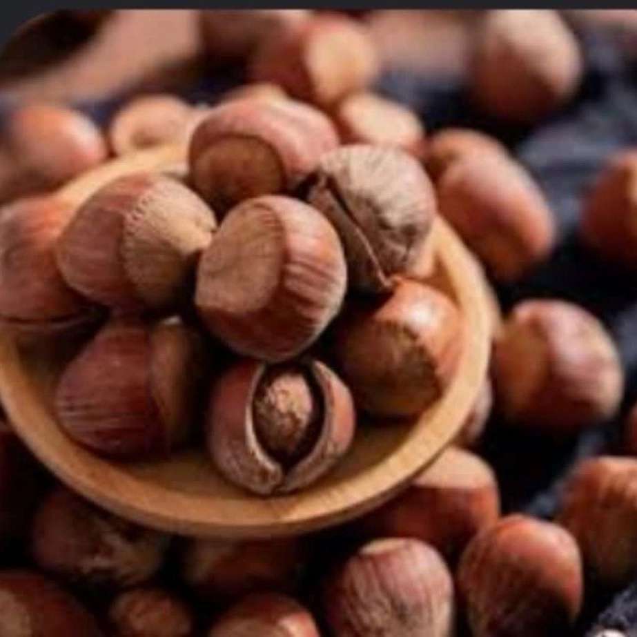 بازگانی طلاییه قرمز اشکور