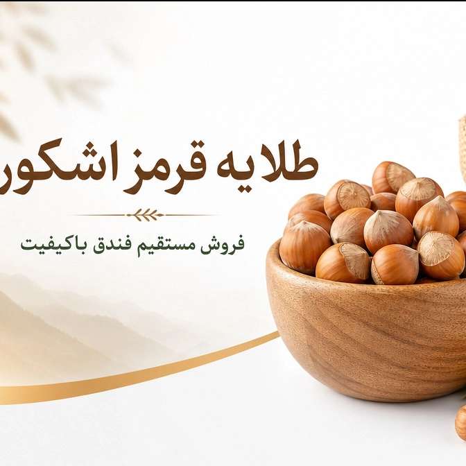 1784919816654.webp